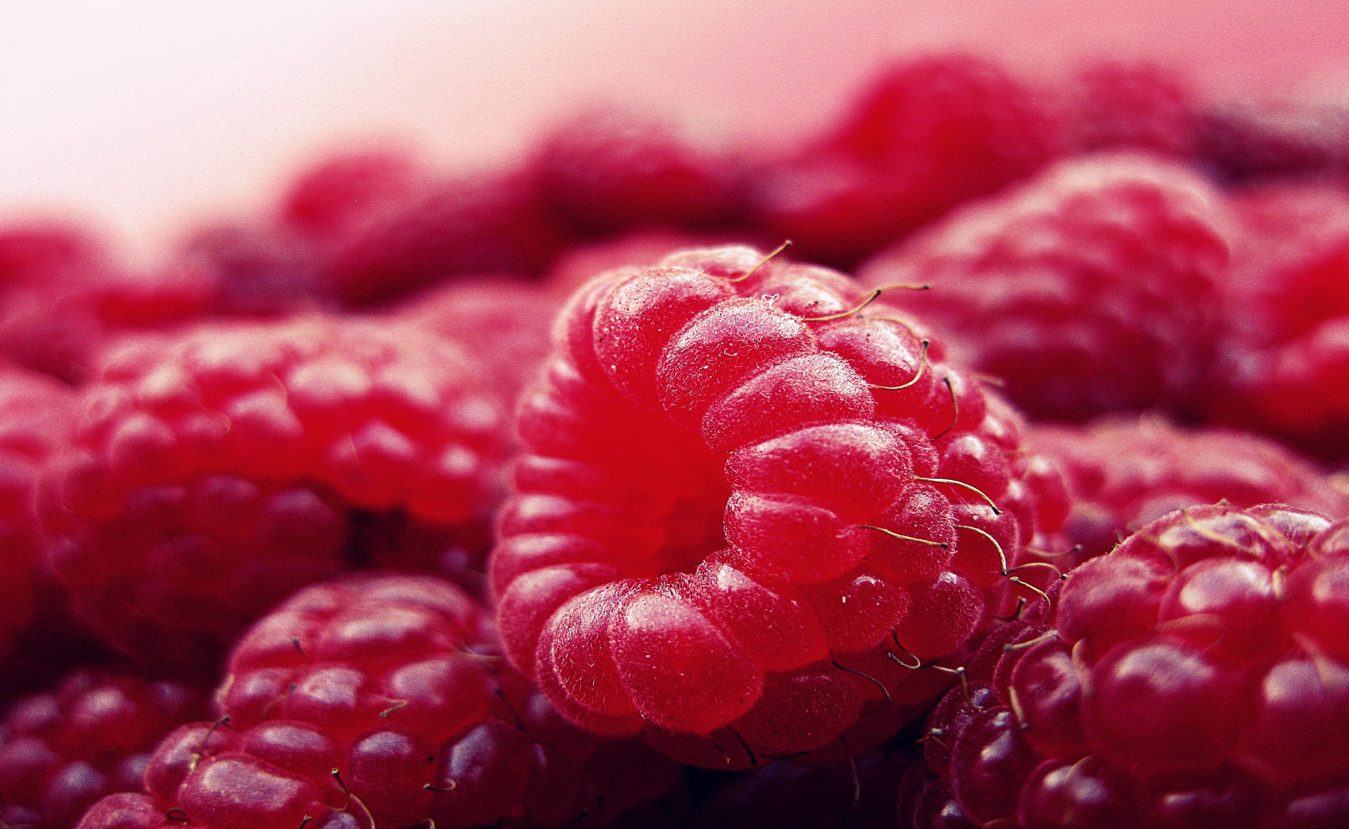 Raspberry